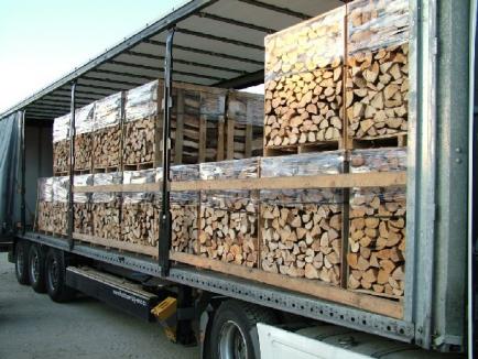 Razie în piaţa de lemne din Palota: Aproape 300 metri cubi de cherestea şi lemne de foc de peste 130.000 lei, confiscate!